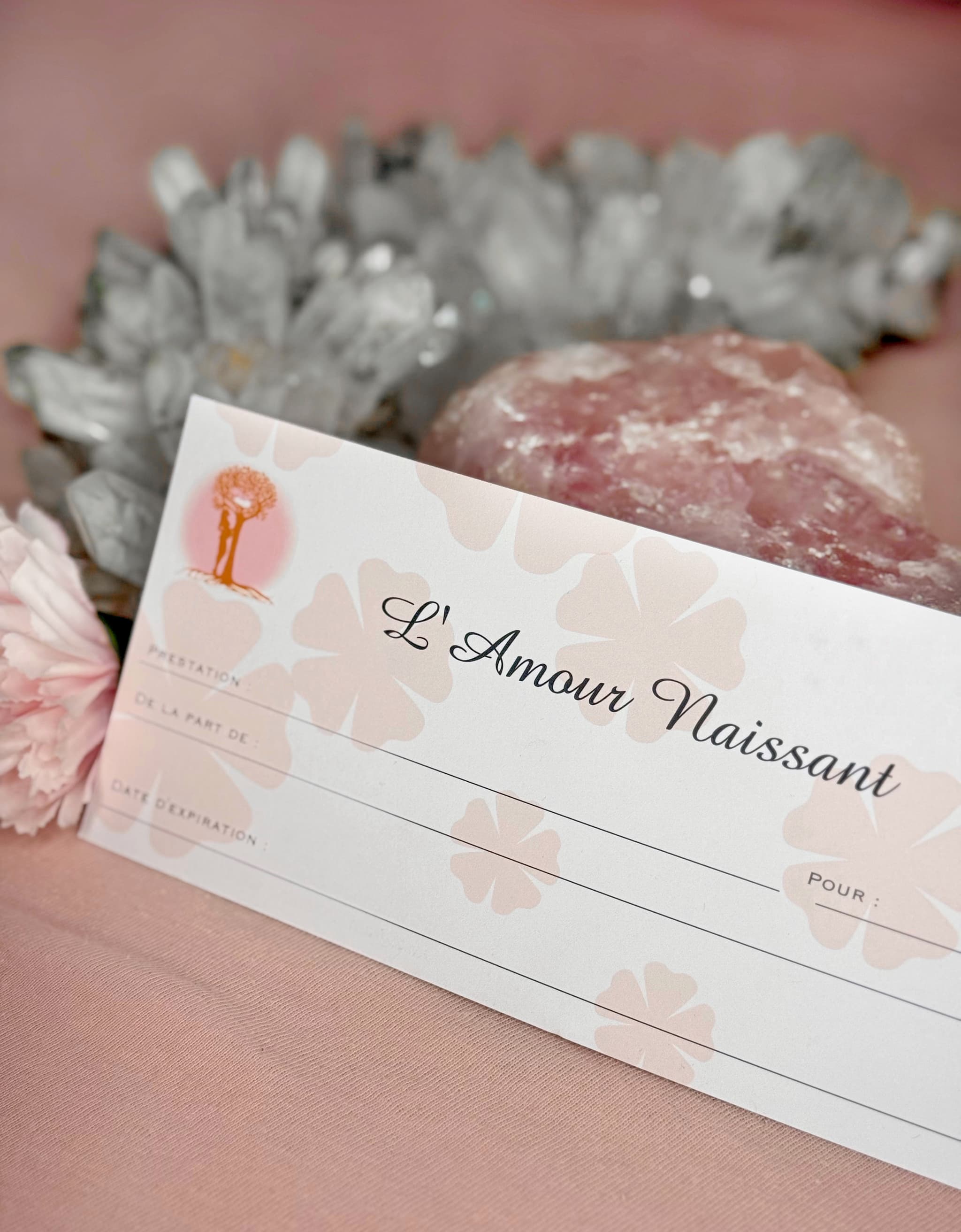 Carte cadeau de l'Amour Naissant, illustration d'un bon cadeau pour prestations périnatales